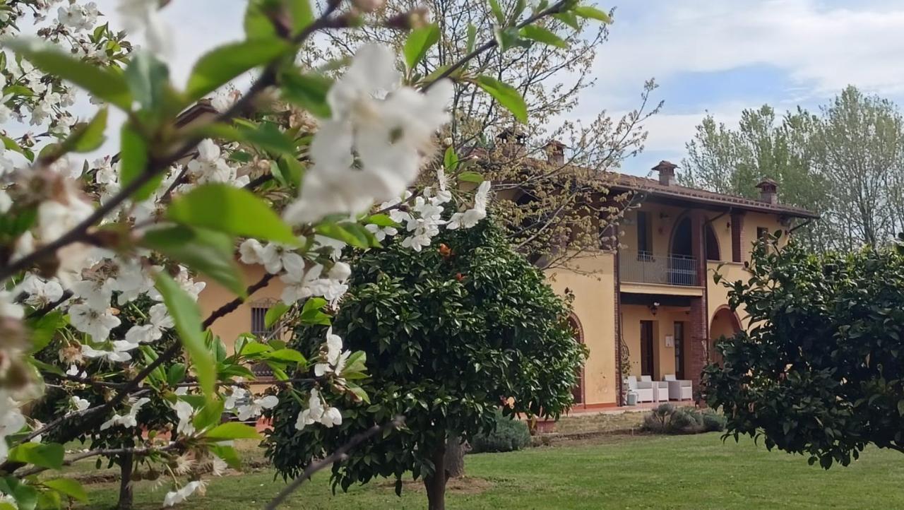 Il Chiassetto Agriturismo No Kids Cascina Εξωτερικό φωτογραφία