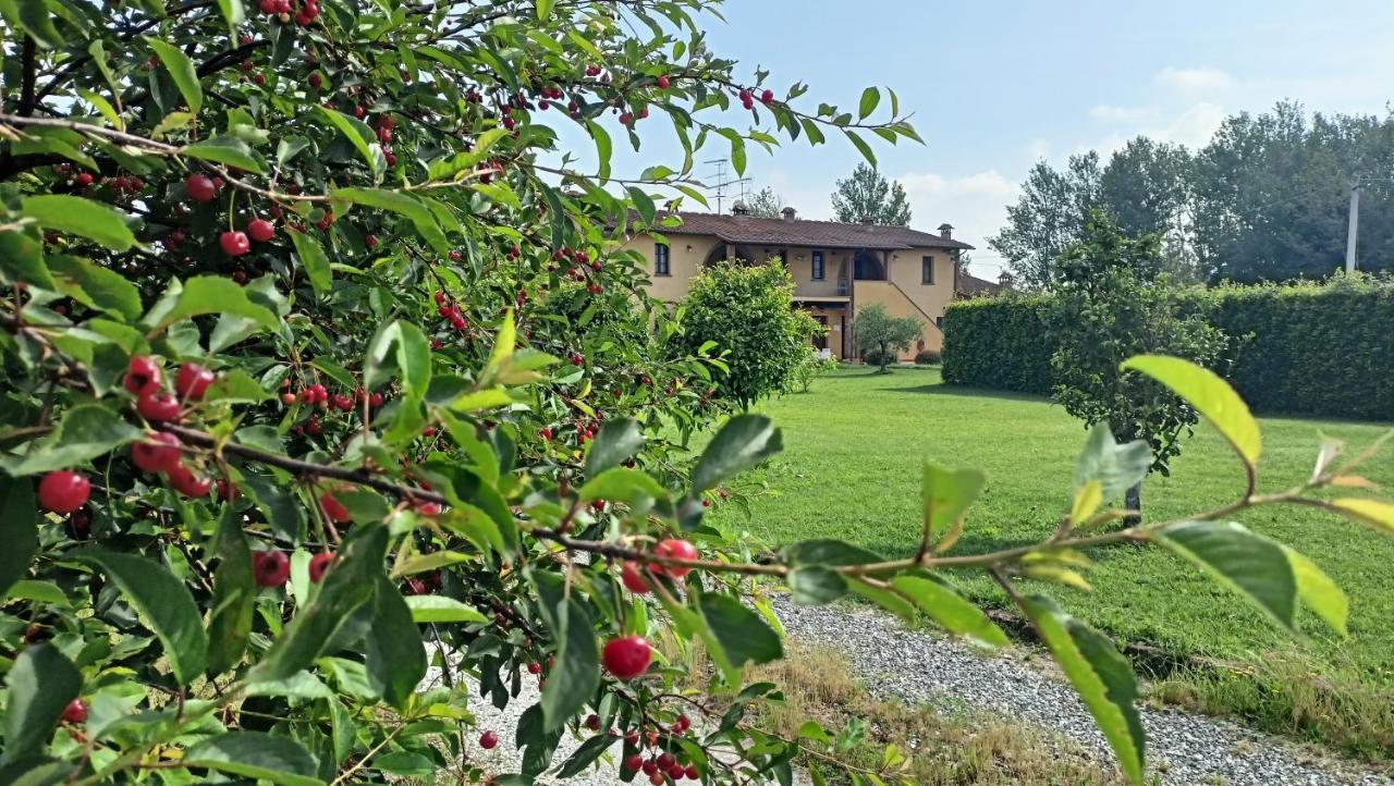Il Chiassetto Agriturismo No Kids Cascina Εξωτερικό φωτογραφία