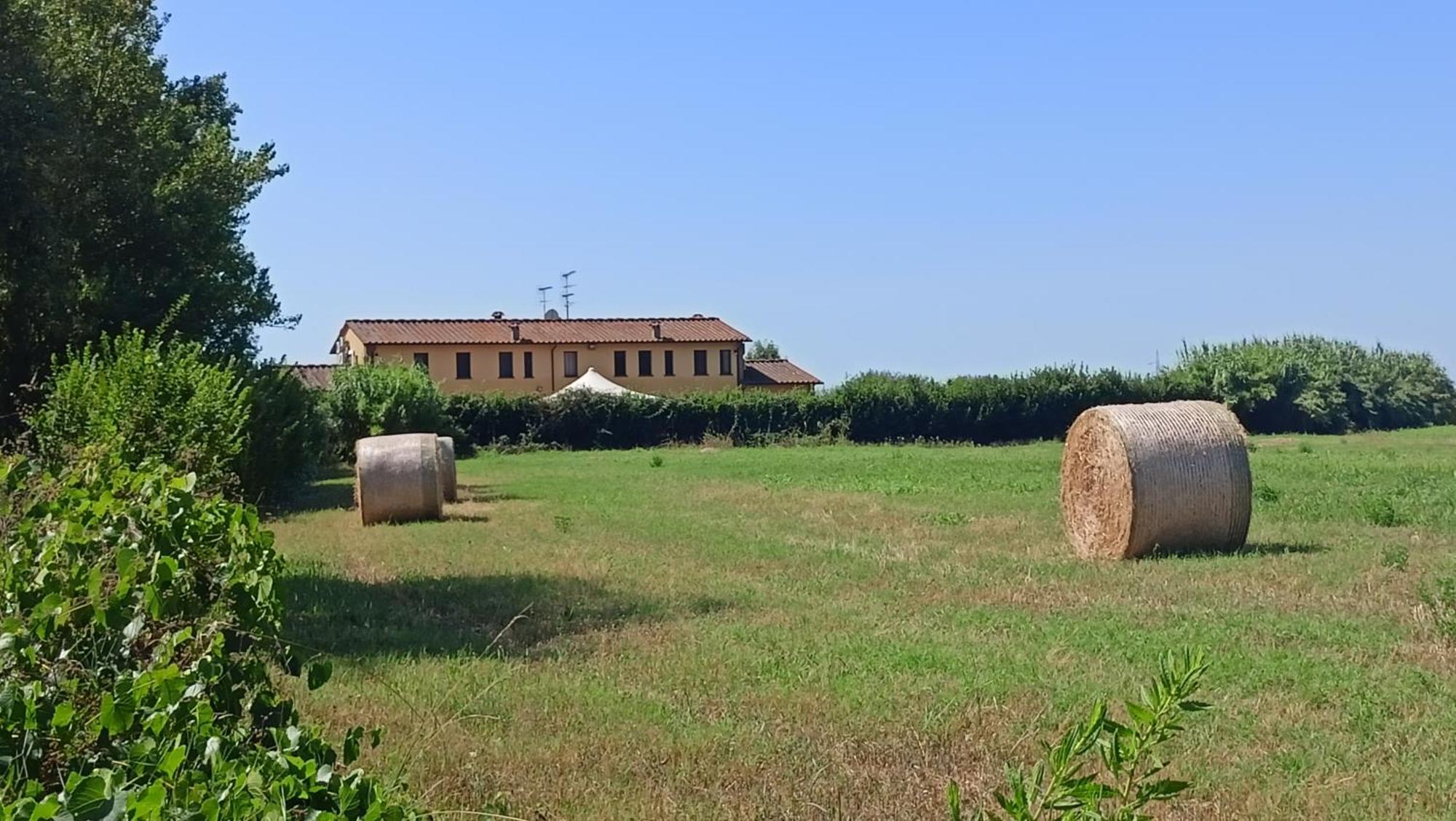 Il Chiassetto Agriturismo No Kids Cascina Εξωτερικό φωτογραφία